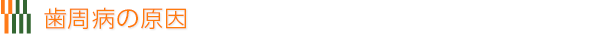 歯周病の原因
						